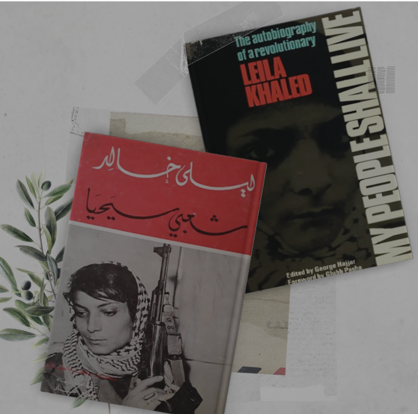 Screenshot 2026-02-23 at 6.04.30 PM